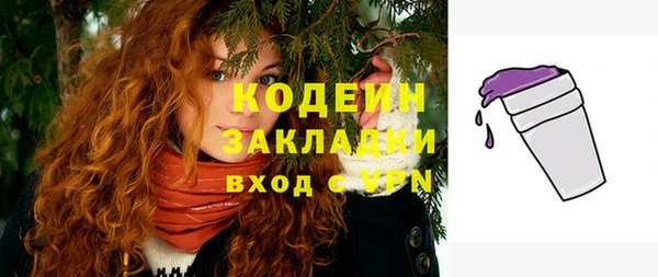 ГАЛЛЮЦИНОГЕННЫЕ ГРИБЫ Елабуга
