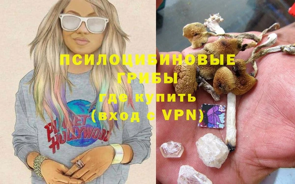 гидропоника Дмитров
